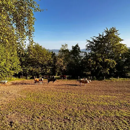 Chalet Oaza Klidu Hrádek